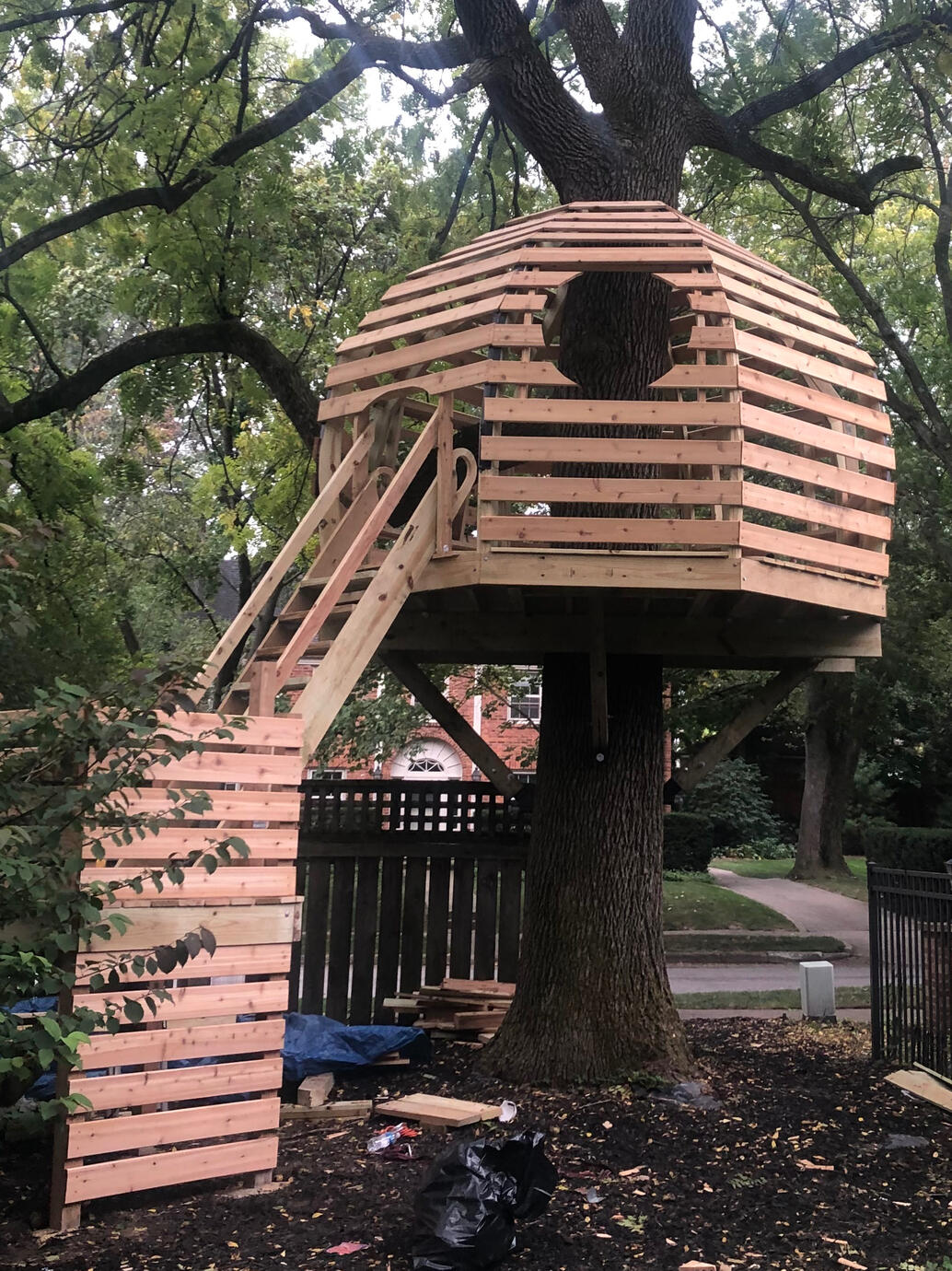 Treehouse in Grand Rapids, MI